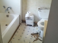 03_09-1 1before bath.jpg